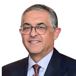 H.E. Mr. Hossam Heiba (President at General Authority for Investment & Free Zones)